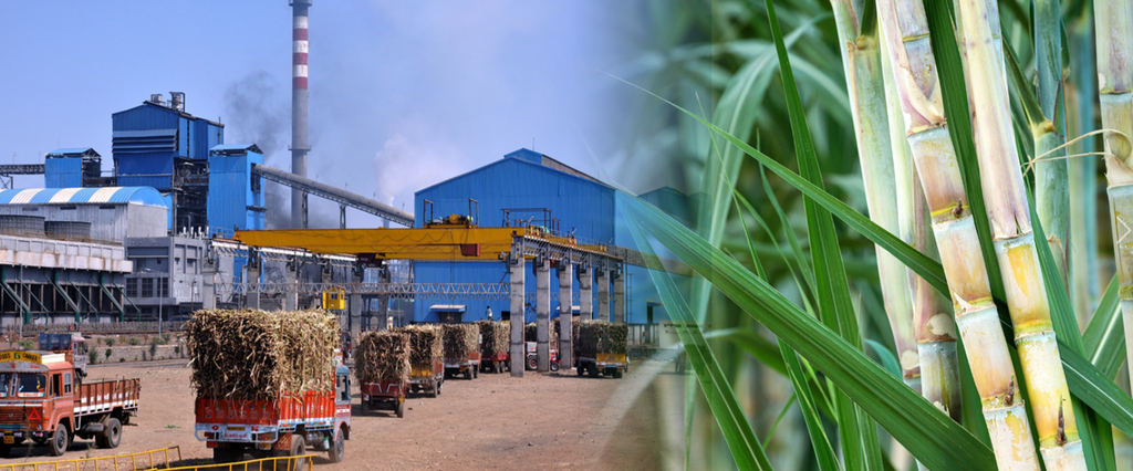 Sugarcane Farmers Protest Pune: White sugar stored in jute bags with a wooden scoop, representing Maharashtra's sugar industry.